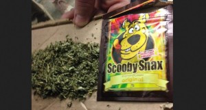 Synthetic Marijuana 300x161